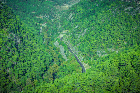 进山的路