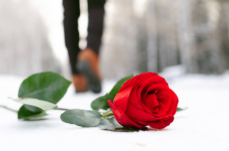 红玫瑰花躺在一个冬天的公园里的雪覆盖的道路上,走着女人的剪影.