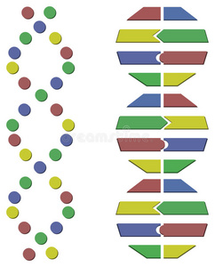 抽象dna