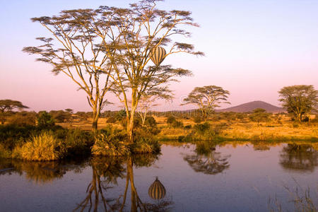 坦桑尼亚风景
