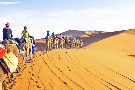 穿过沙丘的骆驼车队