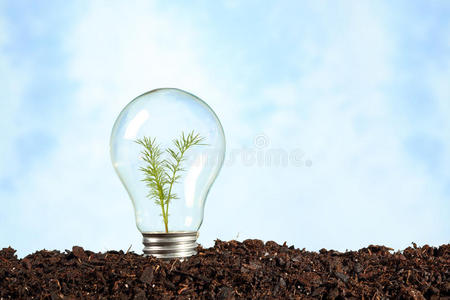 带植物的地球上的电灯泡