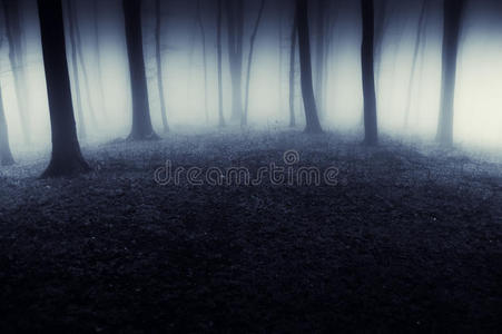 夜晚有雾的黑暗的超现实森林图片