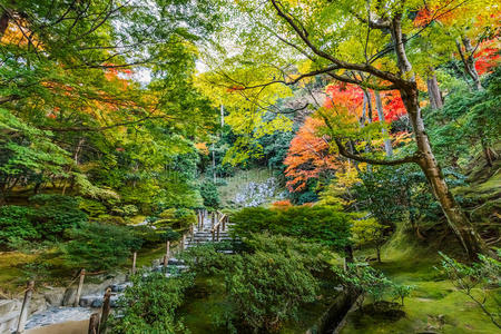 京都金阁寺千森开玉寺花园