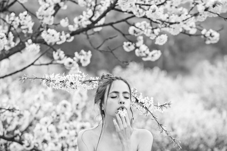 春天的花朵，在樱桃园与年轻漂亮的女孩