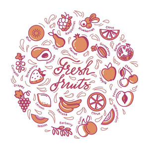 圆形插图, 包括商店印刷网站设计用水果和文字
