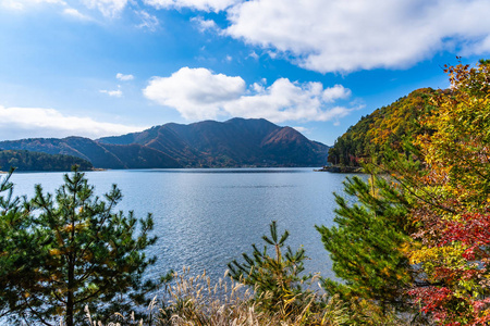 秋日日本山田镇川光湖周围美丽的风景