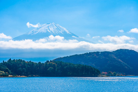 秋季环湖枫叶树的富士山美景