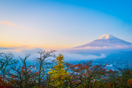 日本大林秋季枫叶树四周美丽的富士山景观，白云蓝天