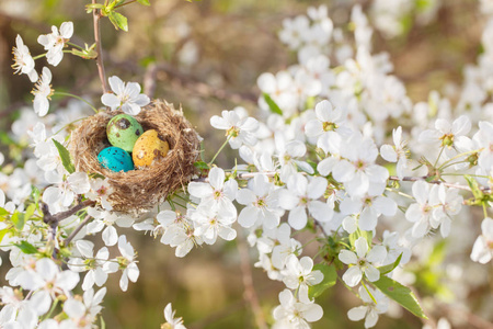 复活节彩蛋在巢外