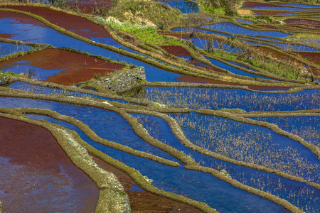 红河哈尼s yunnan province, 30 january 2017照片