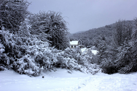 s cottage in a snowy forest in winter. The huntsman39