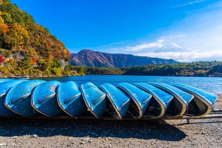 日本秋季环湖枫叶树的富士山美景