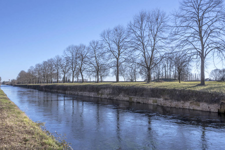 运河堤看到裸露的巨大树木排在人造历史运河的堤岸上,在冬季明亮的