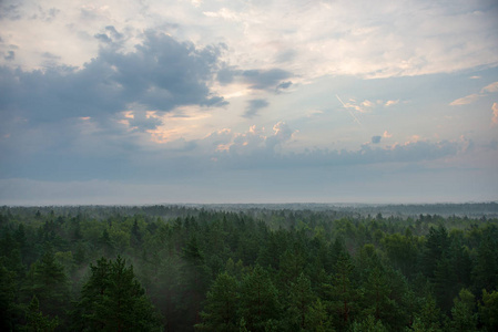 雾蒙蒙的早晨雾蒙蒙的森林风景