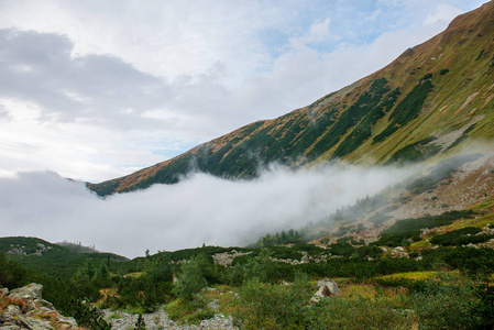 斯洛伐克登山山谷上空的云雾