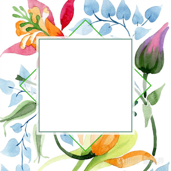 点缀花卉植物花. 野生春叶野花隔离. 水彩背景插图集.