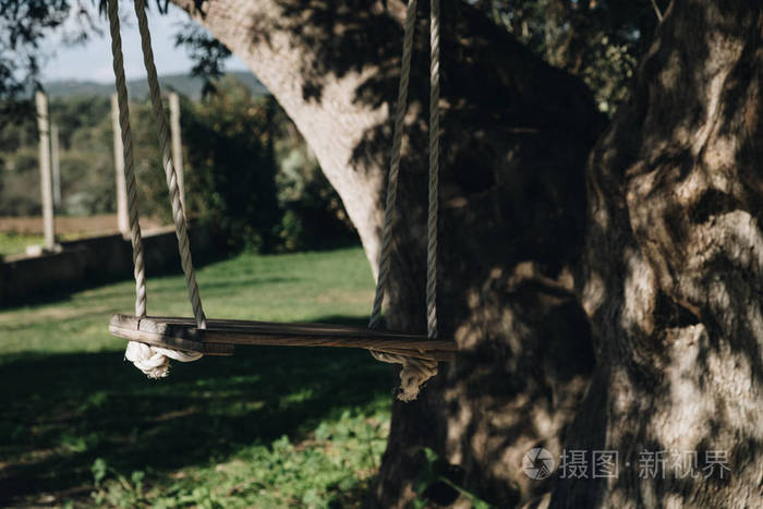绑在大树上的木秋千