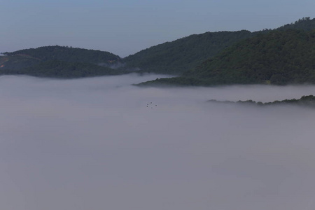 黎明时分，高原上空气清新，光线神奇，浓雾弥漫