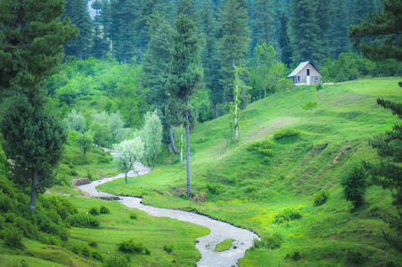 一座孤独的房子，坐落在山顶上，有一条小溪流动。郁郁葱葱的绿色景色