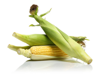 白色背景下分离的新鲜玉米