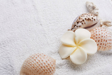 贝壳与花在毛巾水疗概念