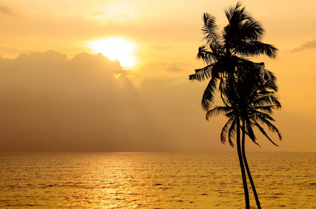 金色的日落在海洋上。 对着天空，椰子树的黑暗轮廓。