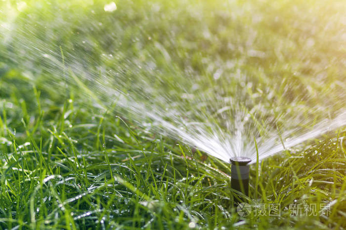 自动浇水设备,草坪维护,园艺和工具概念.