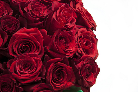 浪漫的背景, 白色背景上的红色花束