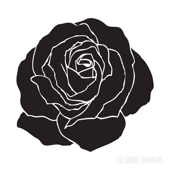 玫瑰矢量插图的黑色轮廓