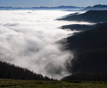 亚科哈里亚克纳瓦拉多雾的山脉和森林