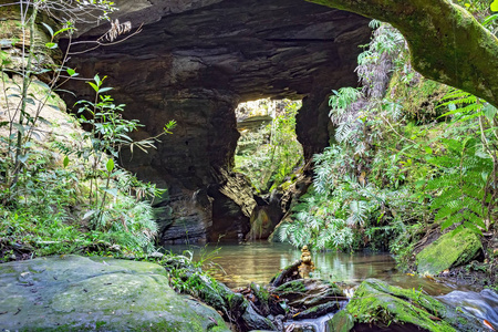 洞穴内部有小河流和湖泊，周围有巴西雨林植被