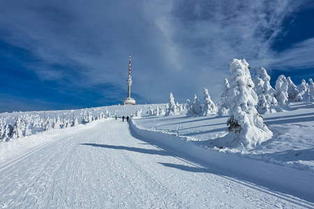 杰塞尼克山滑雪道或越野滑雪道及电视转播者普拉迪德