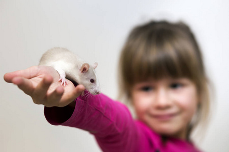 幸福微笑可爱的儿童女孩肖像与白色宠物鼠仓鼠在轻拷贝空间背景。在家养宠物，爱护动物的观念..