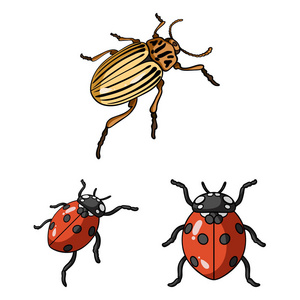 昆虫和甲虫标志的矢量设计。收集昆虫和万圣节股票符号的网络