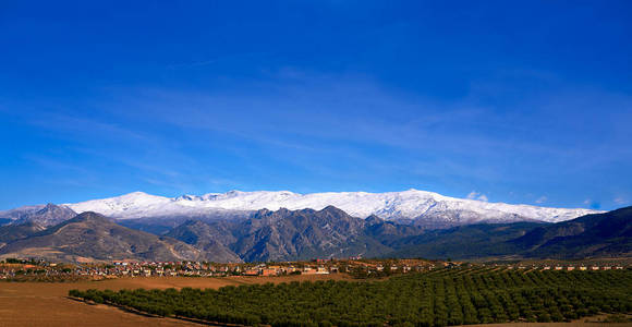 内华达山脉在格拉纳达，顶端有雪和橄榄树田