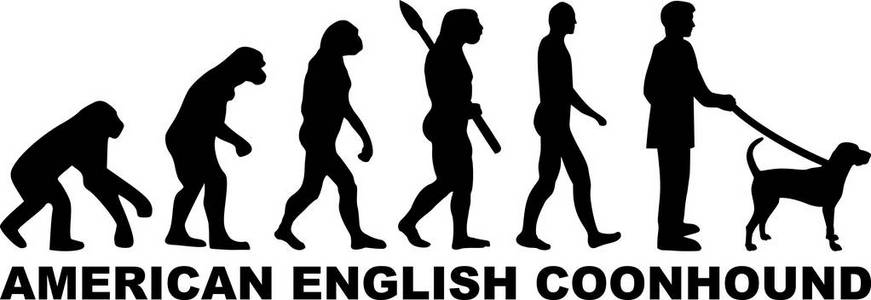 美国英语浣熊进化与黑色单词