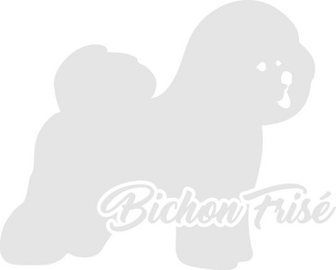 Bichon Frise剪影真实与文字