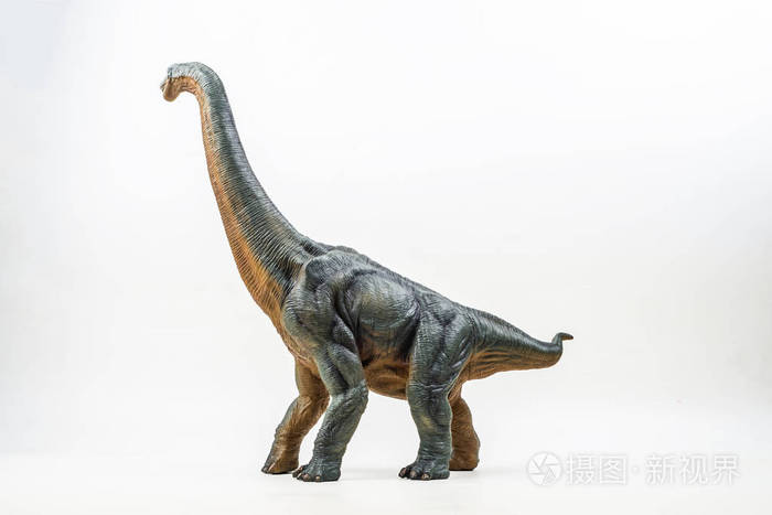 迷惑龙在白色背景上白色背景上的腕龙恐龙玩具恐龙, 暴龙与迷惑龙栽 