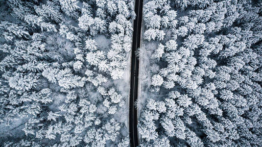 白雪覆盖的树木和道路线空中无人机照片。