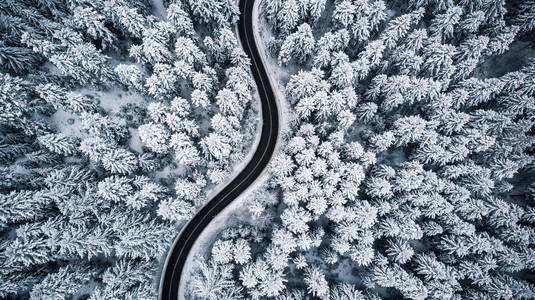 弯曲多风的道路在积雪覆盖的森林自上而下的鸟瞰。