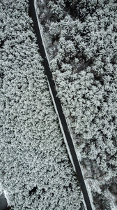 冬季森林积雪道路的鸟瞰图。