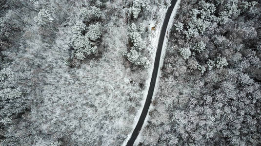 白雪皑皑的森林无人机视野中的空路。