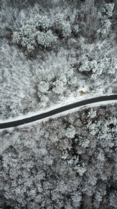 白雪皑皑的森林无人机视野中的空路。