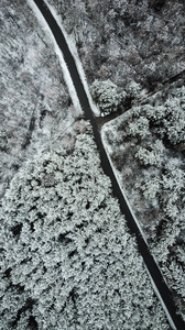 冬季森林积雪道路的鸟瞰图。