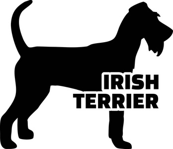 爱尔兰猎犬的轮廓真实与文字图片