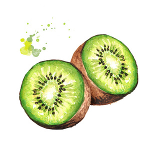 手绘猕猴桃成熟的猕猴桃. 水彩画手绘插图分离白色背景照片