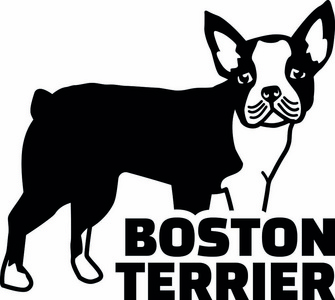 波士顿猎犬的轮廓真实与文字