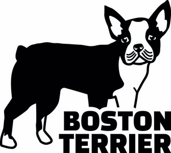 爱尔兰猎犬的轮廓真实与文字插画 正版商用图片16ww0s 摄图新视界