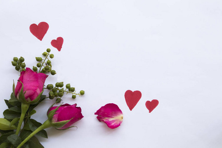 粉红色玫瑰花，带抽红心柱卡，情人节安排纸白色